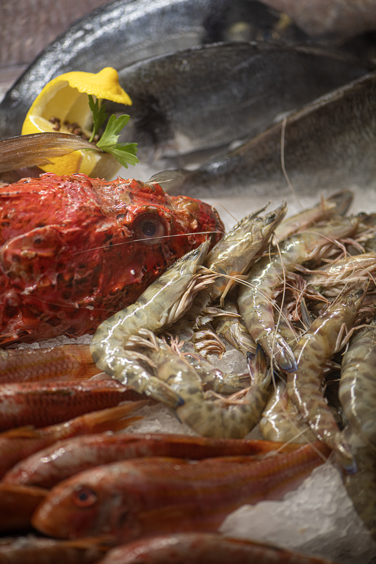 Seafood Speciality